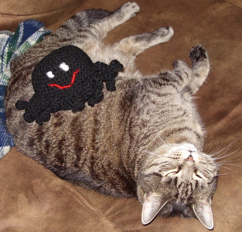 Kitty with crocheted spider