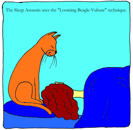 Sleep Assassin #1