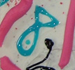 A crappy cake I made for my friends