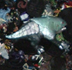 Damn, we have a lot of miniatures!