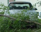 Not the minivan, so the branch spared it.